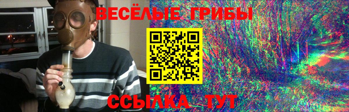 купить наркотик  Вход с VPN  Назарово  Псилоцибиновые грибы прущие грибы  Псилоцибиновые грибы мухоморы 